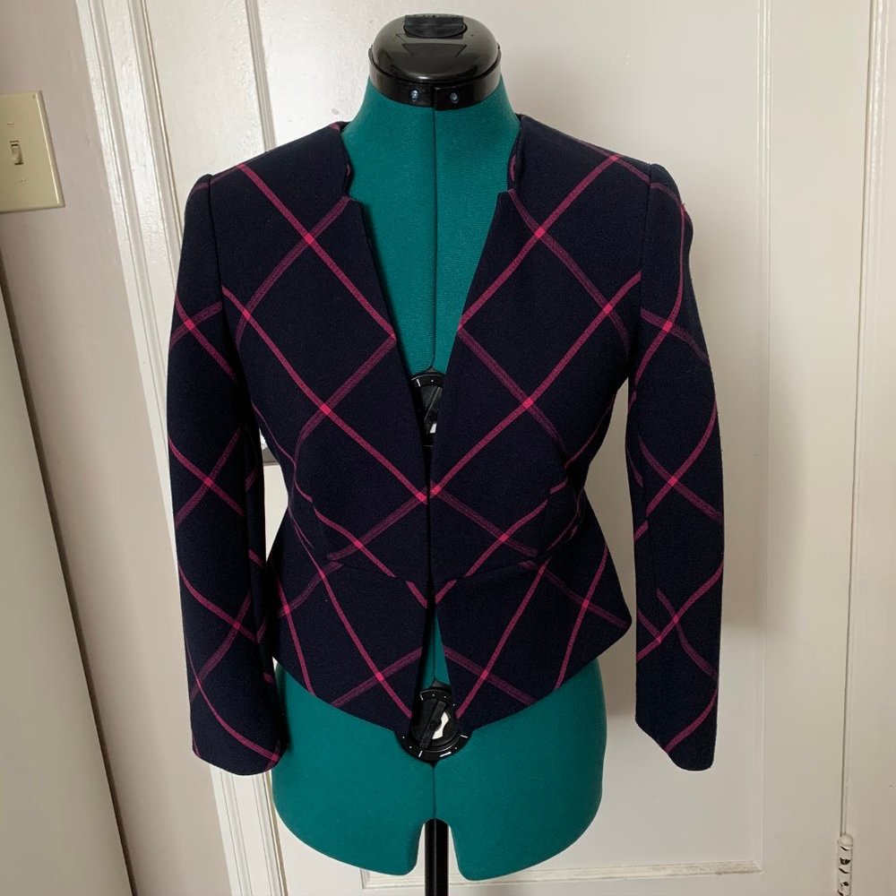 Navy with Pink Plaid Blazer from the Limited